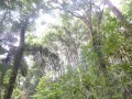 Tn 0502 DSC 5821